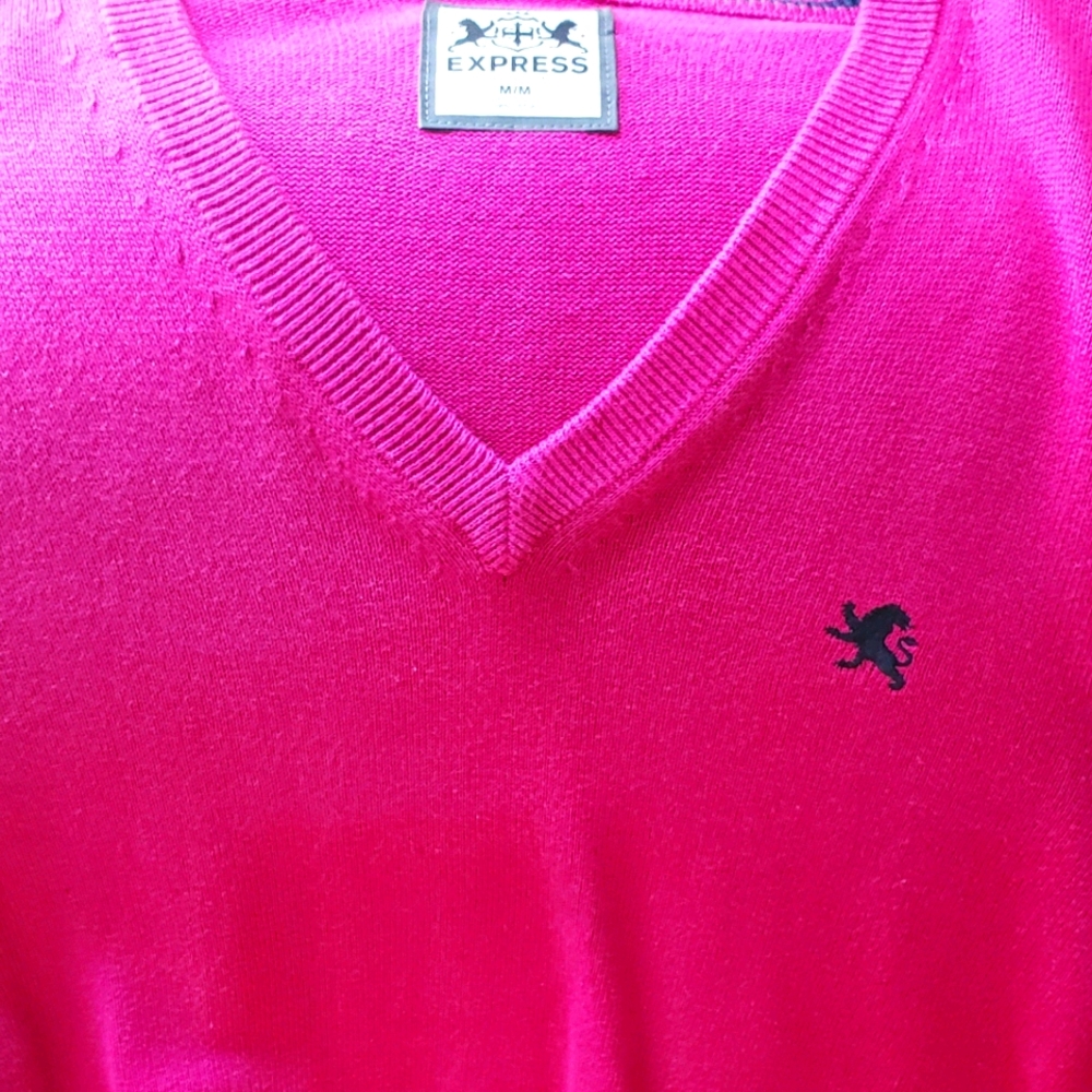 Express sweater